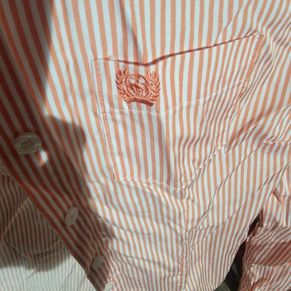 Cinch Button Down - Picture 4 of 4